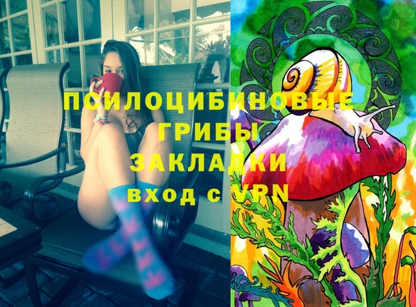 шишки Алексин