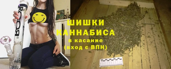 соль ск Алзамай